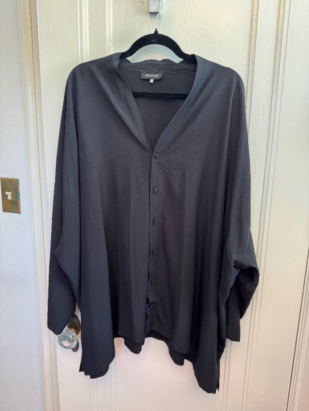 Eskandar 100% Silk V-Neck Blouse Designer size 2